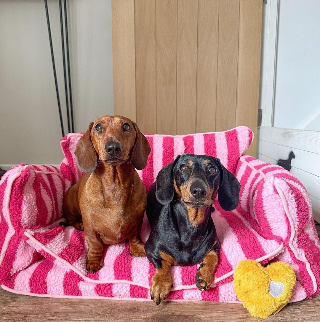 sofa bed for small dogs