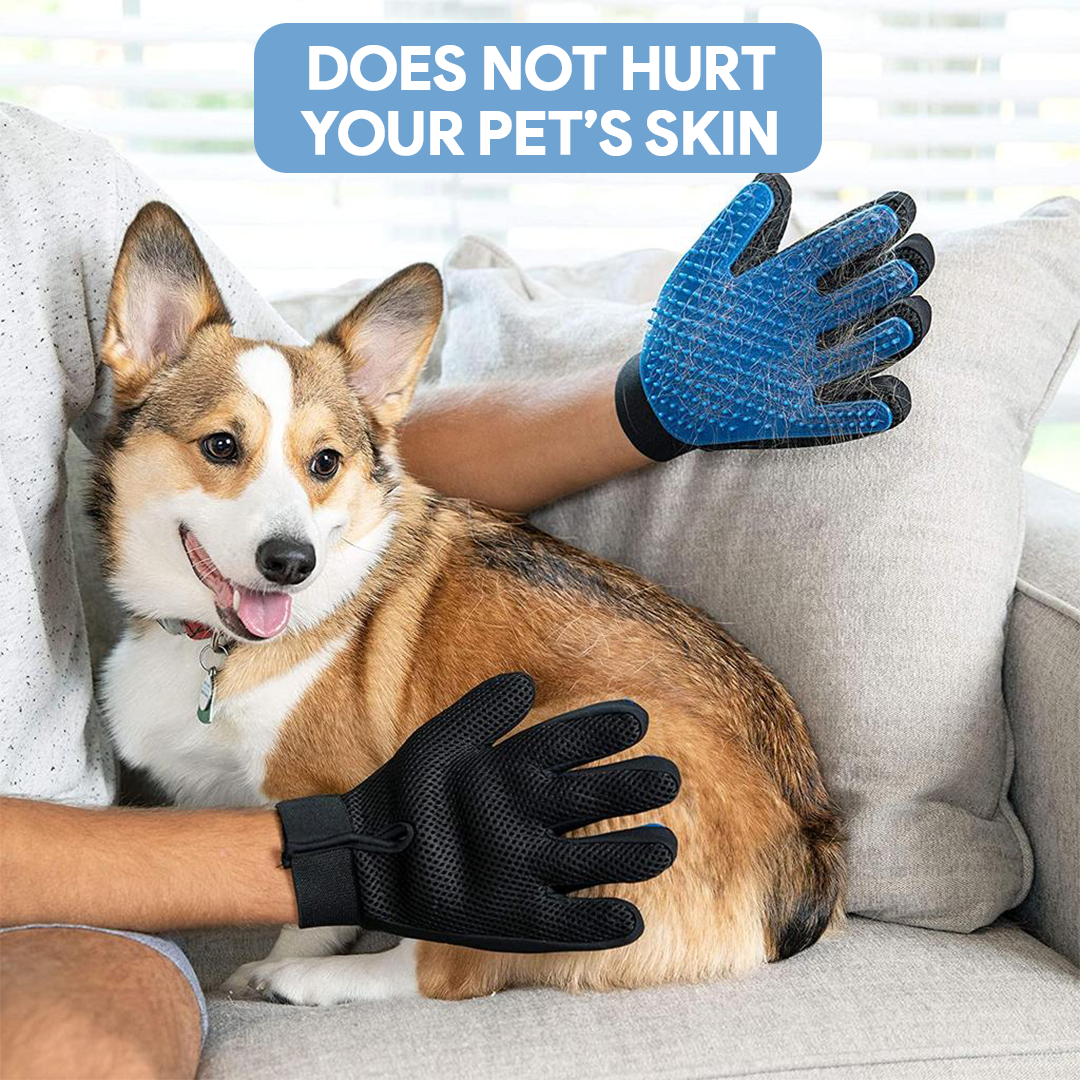 Grooming Pet Glove